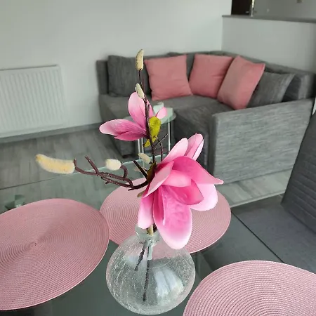 Apartment Pao Noalli *